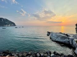 whatsapp_image_2026-03-10_at_13