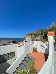 whatsapp_image_2026-03-10_at_13