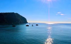 whatsapp_image_2026-03-10_at_13