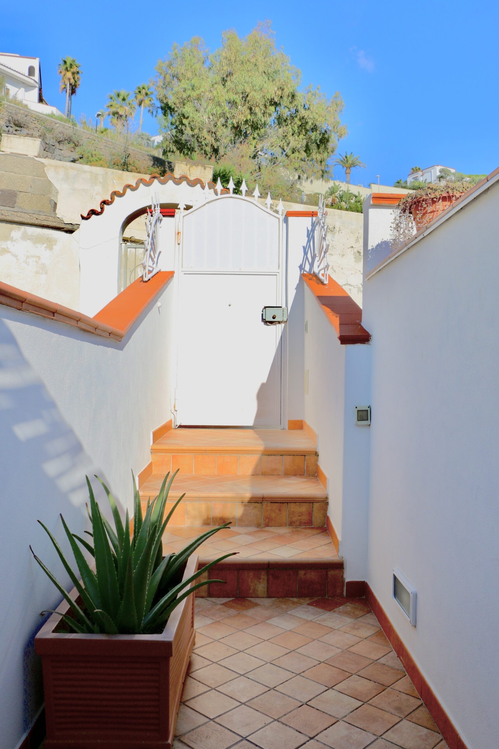 The Lodge by the Sea (Ischia) - Esterno